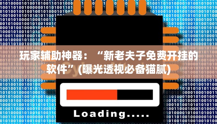 玩家辅助神器：“新老夫子免费开挂的软件”(曝光透视必备猫腻)