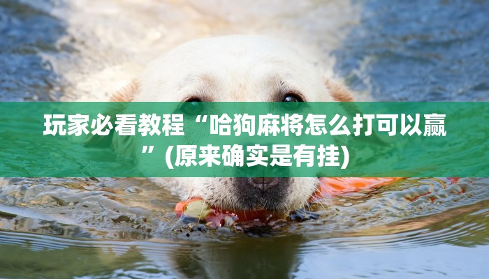 一分钟普及“新奇玩乐怎么买房卡”获取房卡方式