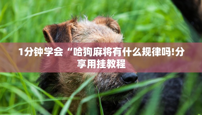 房卡一分钟了解“新青鸟拼三张房卡
炸金花房间链接”详细房卡教程