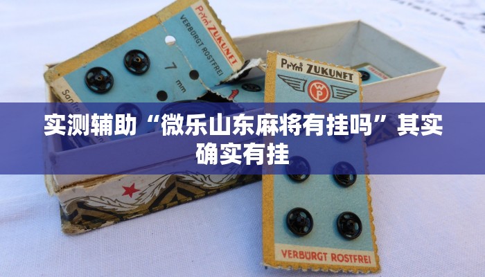 实测辅助“微乐山东麻将有挂吗”其实确实有挂