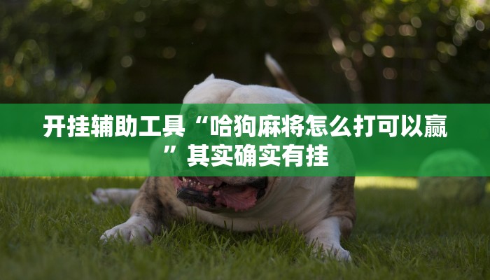 2分钟了解“微信小程序炸 金花房卡上哪充值”如何获取房卡教程