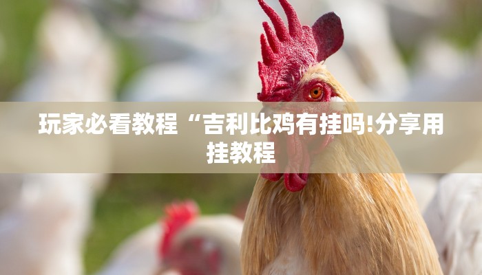 房卡一分钟了解“卡农大厅金花房卡”详细房卡教程