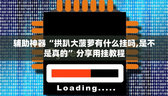辅助神器“拱趴大菠萝有什么挂吗,是不是真的”分享用挂教程