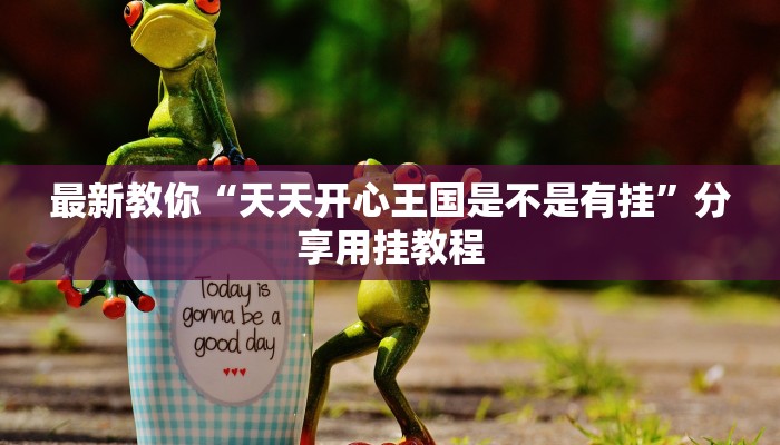 最新教你“天天开心王国是不是有挂”分享用挂教程