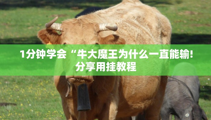 1分钟学会“牛大魔王为什么一直能输!分享用挂教程