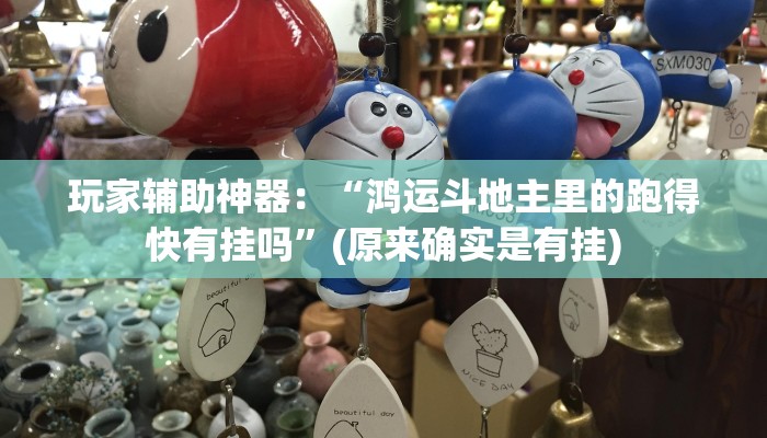 玩家辅助神器：“鸿运斗地主里的跑得快有挂吗”(原来确实是有挂)