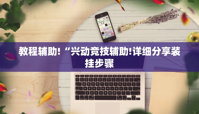 教程辅助!“兴动竞技辅助!详细分享装挂步骤