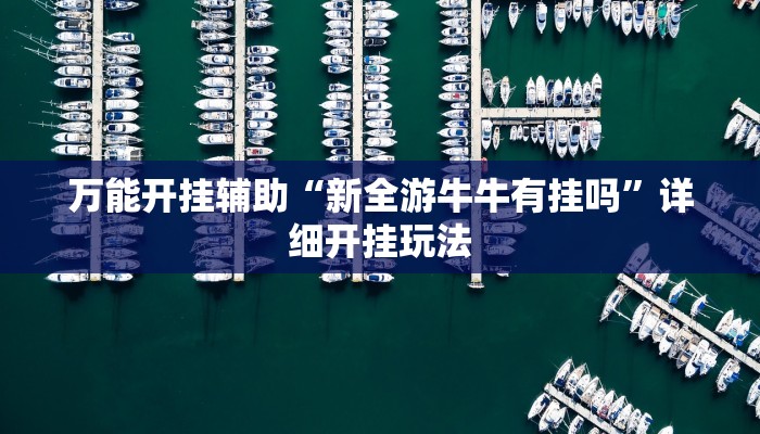 万能开挂辅助“新全游牛牛有挂吗”详细开挂玩法