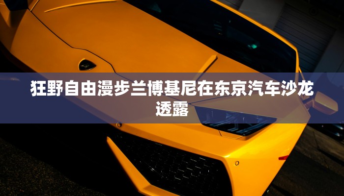 房卡一分钟了解“美猴王大厅房卡”详细房卡教程