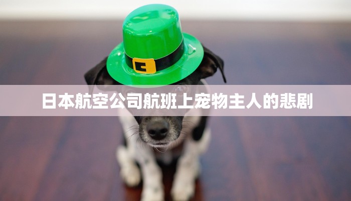 全渠道了解“新蜜瓜大厅在哪买房卡”详细房卡教程 全渠道了解“新蜜瓜大厅在哪买房卡”详细房卡教程