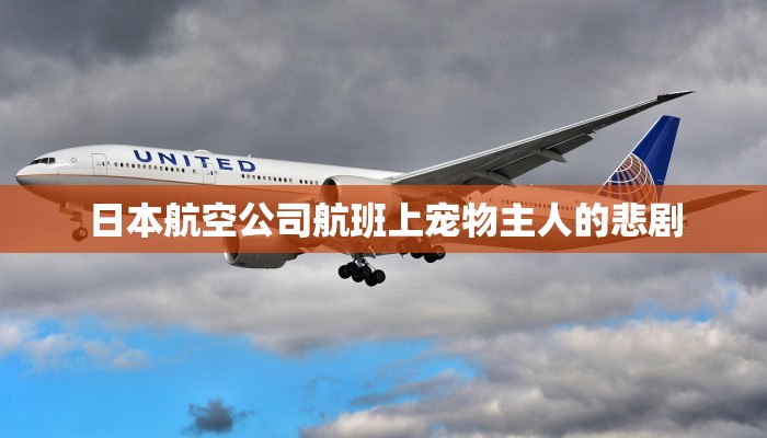 房卡一分钟了解“新八戒大厅正版微信金花房卡”详细房卡教程 房卡一分钟了解“新八戒大厅正版微信金花房卡”详细房卡教程