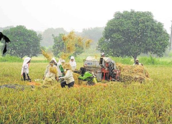 房卡一分钟了解“微信玩金花房卡”详细房卡教程