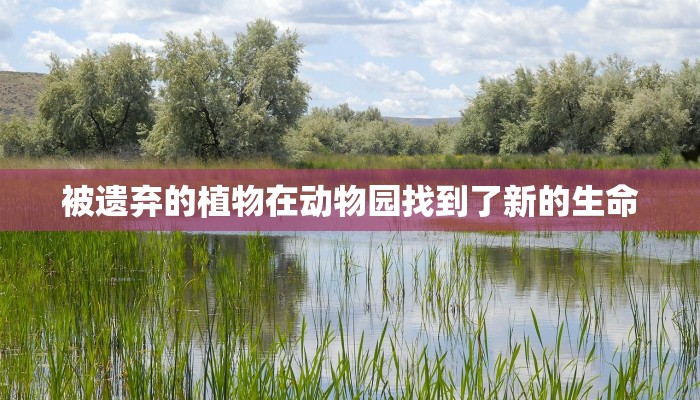 三分钟解答“天酷大厅在哪里买房卡-详细房卡怎么购买教程