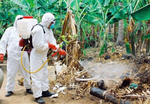 一分钟讲解 ”新道游在哪里买房卡-链接教程- 一分钟讲解 ”新道游在哪里买房卡-链接教程-