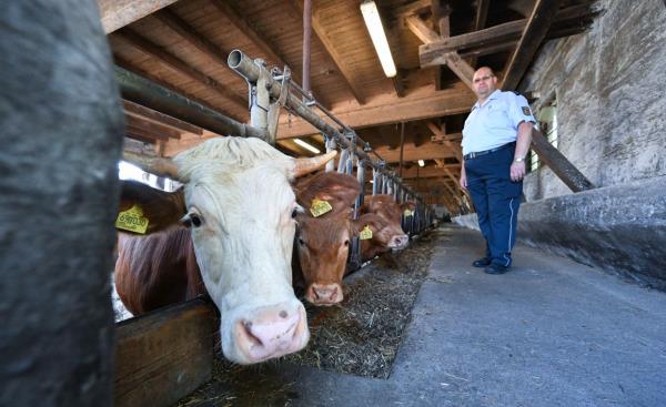 实测辅助“阿拉游戏中心透视挂”(原来确实是有挂)