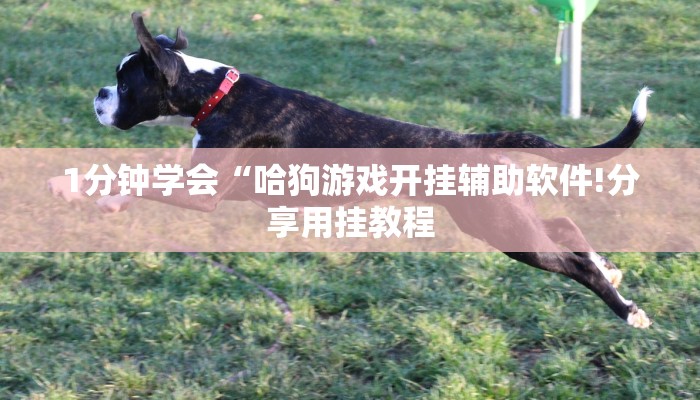 秒懂教程“人人房卡客服”详细步骤