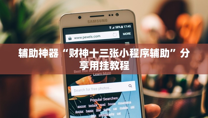 辅助神器“财神十三张小程序辅助”分享用挂教程