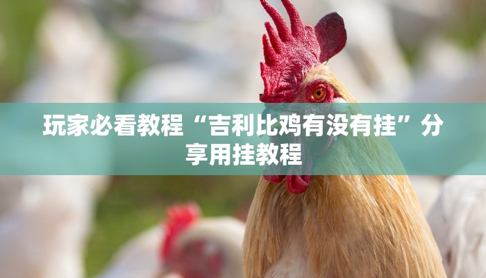 房卡一分钟了解“金花房卡链接充值”房卡详细使用教程