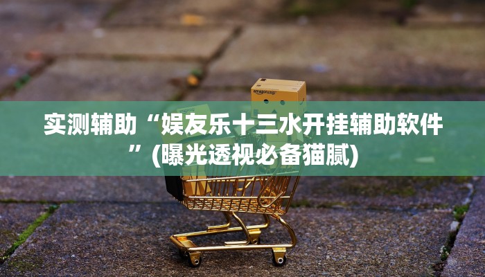 实测辅助“娱友乐十三水开挂辅助软件”(曝光透视必备猫腻)