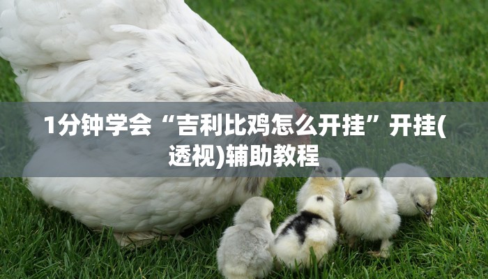 房卡一分钟了解“宝马互娱牛牛房卡”房卡详细使用教程 房卡一分钟了解“宝马互娱牛牛房卡”房卡详细使用教程