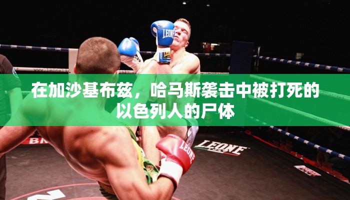 教程辅助!“新鸿狐大厅能不能开挂”(曝光透视必备猫腻)_2