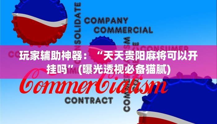 玩家辅助神器：“天天贵阳麻将可以开挂吗”(曝光透视必备猫腻)