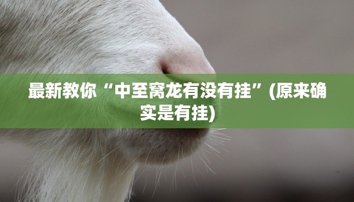 秒懂教程“天酷房卡客服”获取房卡方式 秒懂教程“天酷房卡客服”获取房卡方式