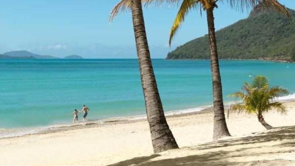 秒懂教程“新蜜瓜大厅买房卡多钱”获取房卡方式 秒懂教程“新蜜瓜大厅买房卡多钱”获取房卡方式