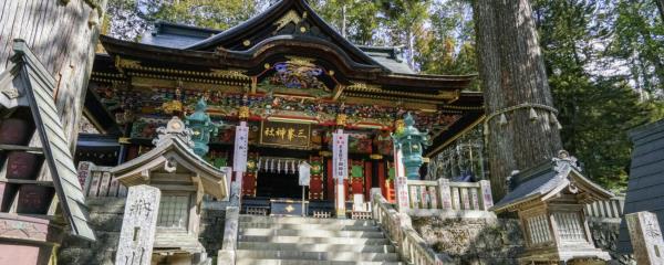 玩家攻略“蝴蝶大厅正版微信金花房卡”房卡详细使用教程