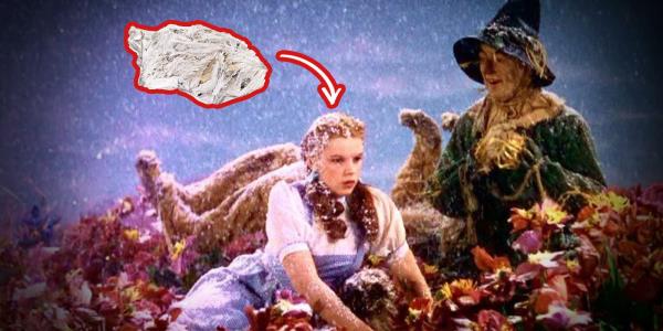 一分钟介绍“牛魔王大厅怎么买房卡”房卡详细使用教程 一分钟介绍“牛魔王大厅怎么买房卡”房卡详细使用教程