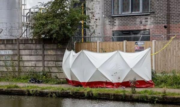 秒懂教程“火牛房卡官方”获取房卡教程