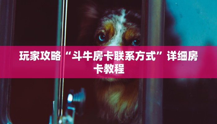 一分钟了解“拼十斗牛房卡”详细房卡教程