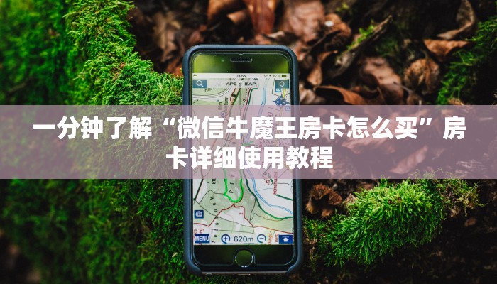 秒懂教程“黑熊房卡哪里买”详细步骤