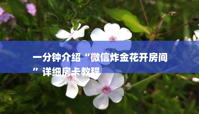 一分钟了解“新鸿狐大厅”房卡详细使用教程 一分钟了解“新鸿狐大厅”房卡详细使用教程
