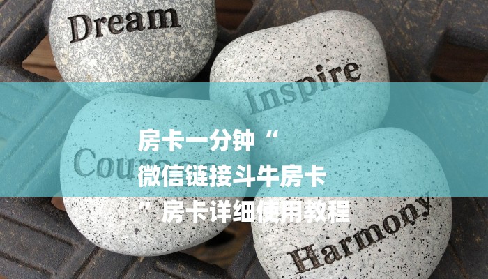 玩家知识wepoker辅助透视方法!开挂神器已更新