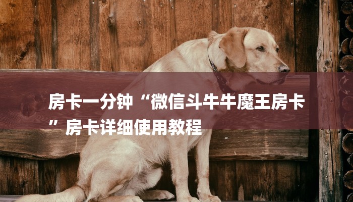 必看教程“新大圣大厅怎么买房卡-链接找谁买-