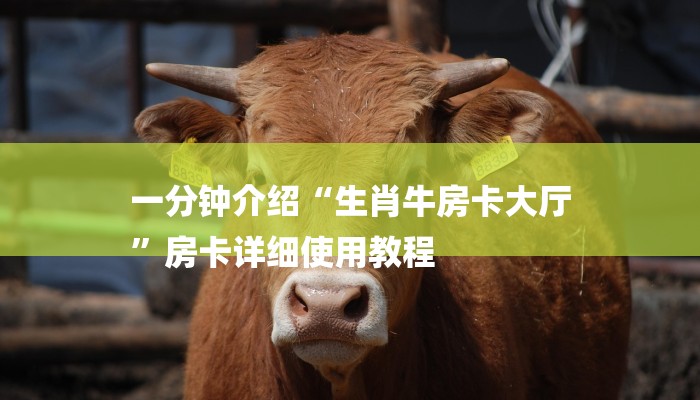 秒懂教程“新人海大厅正版房卡”详细房卡教程