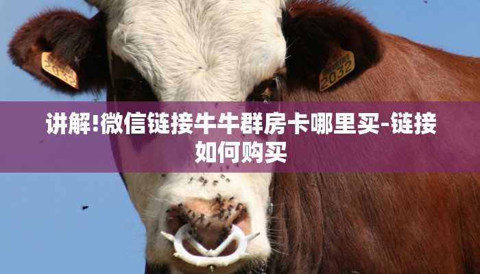 全渠道了解“皇豪互娱怎么买房卡”获取房卡教程