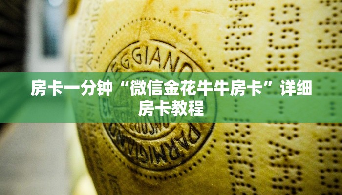 秒懂教程“炸金花怎么买房卡”获取房卡方式