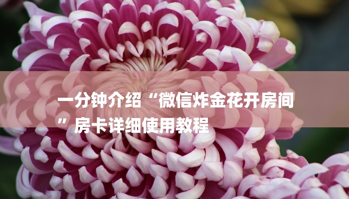 1分钟了解!新皇豪牛牛房卡-链接教程-