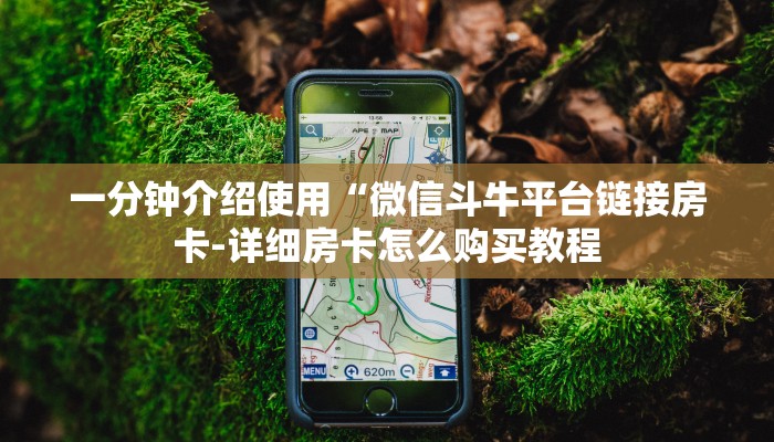 一分钟普及“天酷大厅在哪里买房卡”获取房卡方式 一分钟普及“天酷大厅在哪里买房卡”获取房卡方式