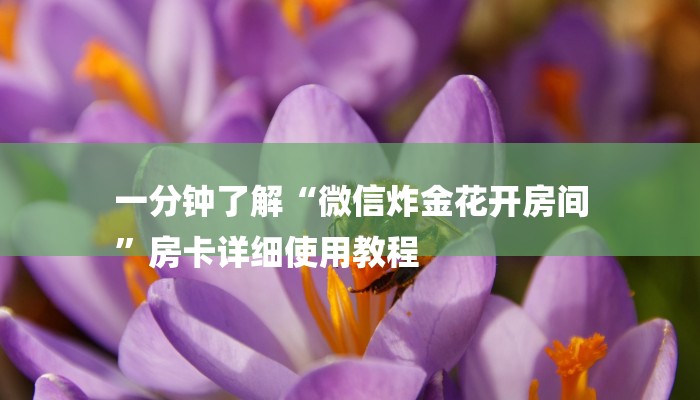 房卡一分钟了解“链接炸 金花房卡”房卡详细使用教程 房卡一分钟了解“链接炸 金花房卡”房卡详细使用教程