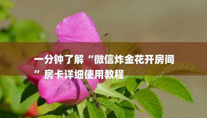 游戏秘籍“微信群发链接炸 金花房卡”如何获取房卡教程