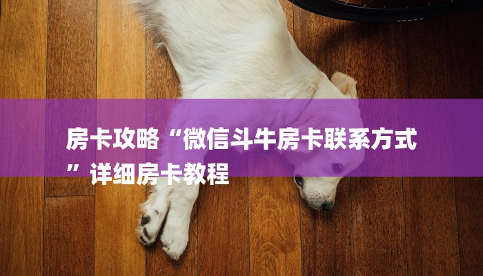 一分钟介绍使用“樱花之盛怎么买房卡-详细介绍房卡使用方式