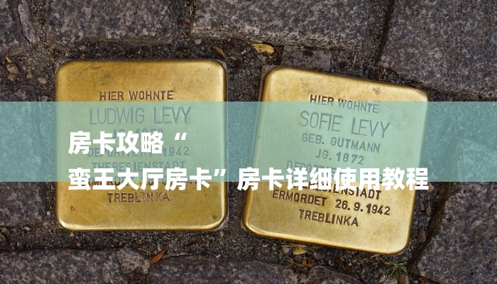 房卡攻略“
蛮王大厅房卡”房卡详细使用教程