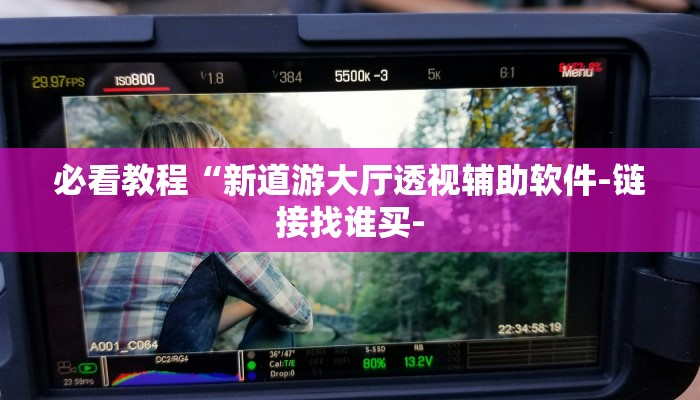 必看教程“新道游大厅透视辅助软件-链接找谁买-