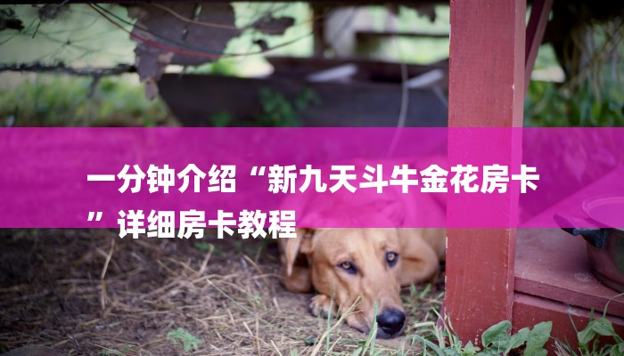 一分钟介绍“新九天斗牛金花房卡
”详细房卡教程 一分钟介绍“新九天斗牛金花房卡
”详细房卡教程