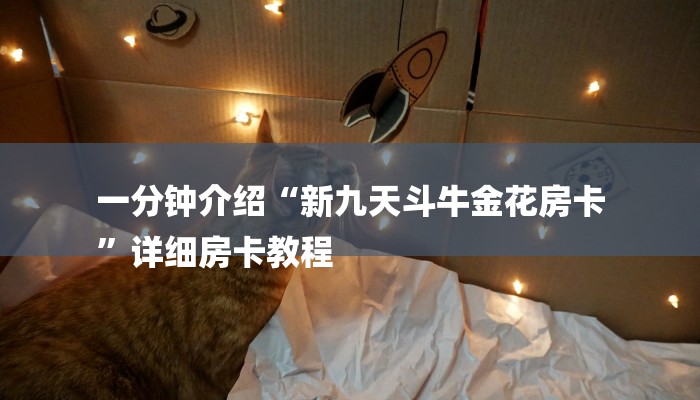 一分钟介绍“新九天斗牛金花房卡
”详细房卡教程 一分钟介绍“新九天斗牛金花房卡
”详细房卡教程