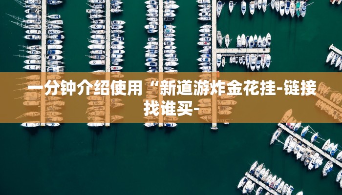 一分钟介绍使用“新道游炸金花挂-链接找谁买-
