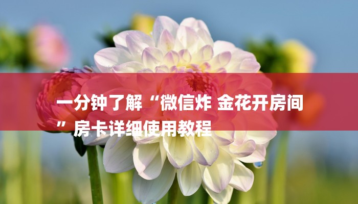 一分钟了解“微信炸 金花开房间
”房卡详细使用教程